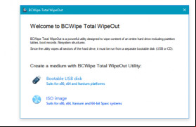 BCWipe Total WipeOut screenshot 1