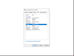 Corrupted Disk Fixer - details