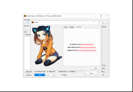Detect It Easy - libraries