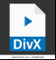 DivX Web Player