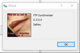 FTP Synchronizer screenshot 2