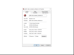 Giraffic Video Accelerator - properties