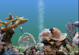 Marine Aquarium - underwater