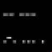 Morse Code Practice Tool logo