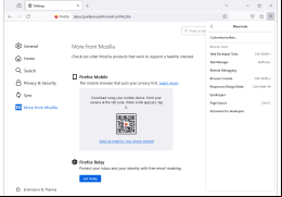 Mozilla Firefox Portable - tools-in-application