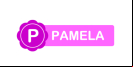 Pamela for Skype