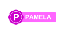 Pamela for Skype logo