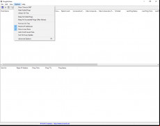 PingInfoView screenshot 1