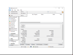 qBittorrent - file