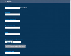 RaidCall screenshot 2