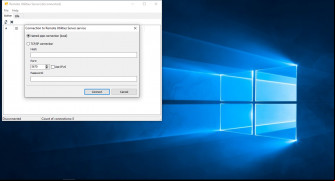 Remote Utilities - Viewer screenshot 3