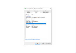 Scanned Text Editor - details