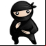 System Ninja
