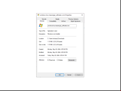 Windows Live Messenger - properties