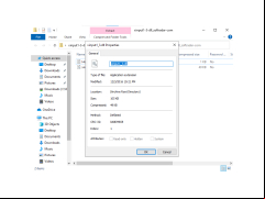 Xinput1_3.dll - properties